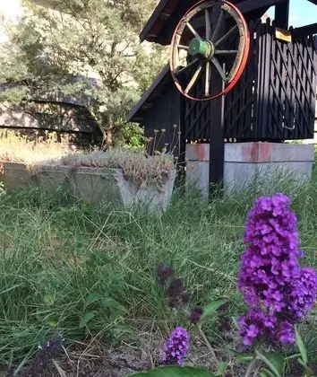 Süit, Sigara İçilmez, Bahçe Manzaralı