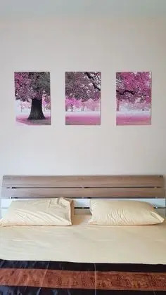 Superior Tek Büyük Yataklı Oda