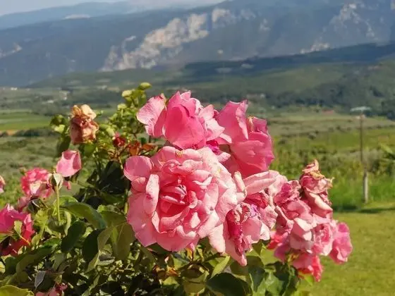 Ev, 2 Yatak Odası, Balkon