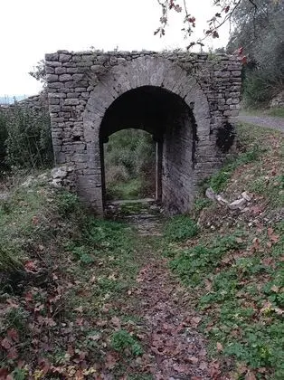 Ev, 5 Yatak Odası, Engellilere Uygun, Şömine