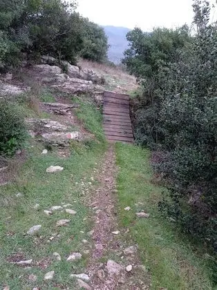 Ev, 5 Yatak Odası, Engellilere Uygun, Şömine