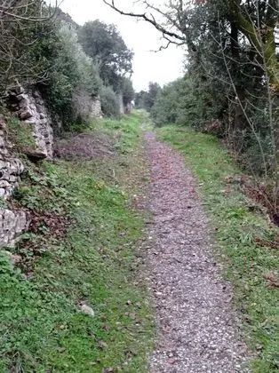 Ev, 5 Yatak Odası, Engellilere Uygun, Şömine