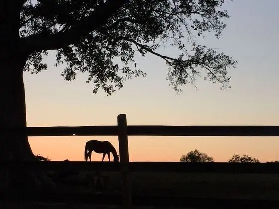 Standard Tek Büyük Yataklı Oda, Banyolu/Duşlu, Bahçe Manzaralı (Orchard Loft )