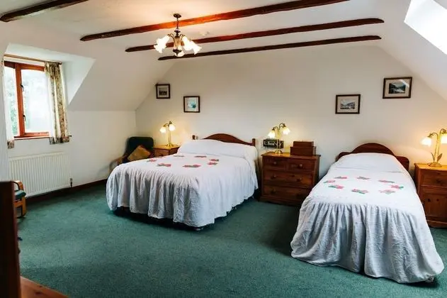 Standard Tek Büyük veya İki Ayrı Yataklı Oda, Banyolu/Duşlu (Room 2)