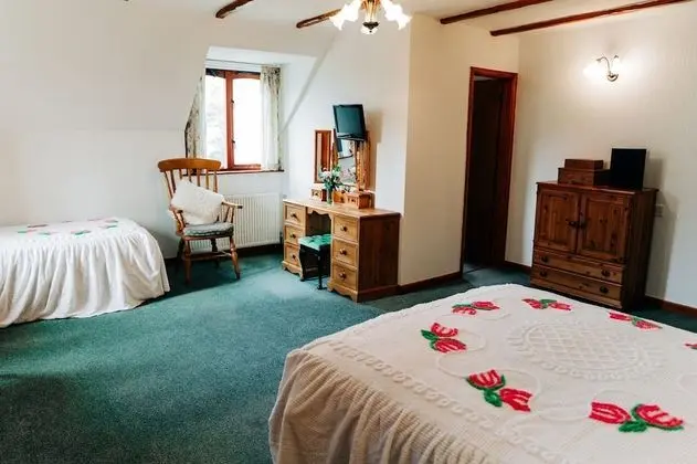 Traditional Tek Büyük veya İki Ayrı Yataklı Oda, Banyolu/Duşlu (Room 1)