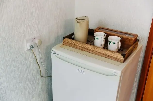 Traditional Tek Büyük veya İki Ayrı Yataklı Oda, Banyolu/Duşlu (Room 1)