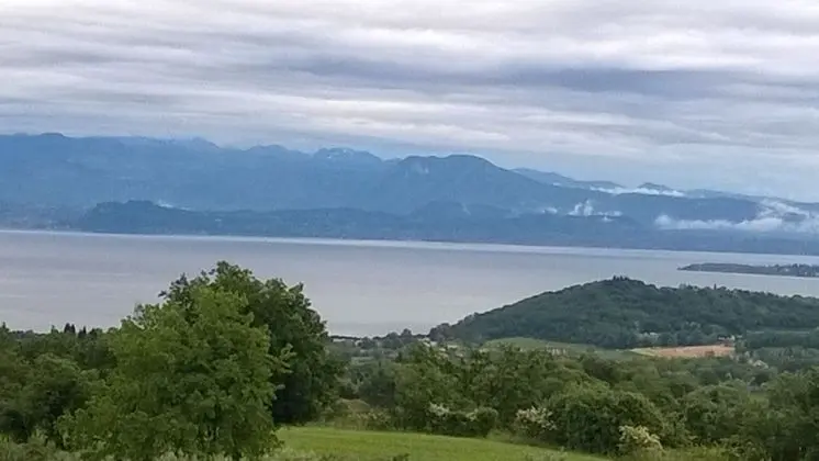 Standard Apart Daire, 1 Yatak Odası, Bahçe Manzaralı