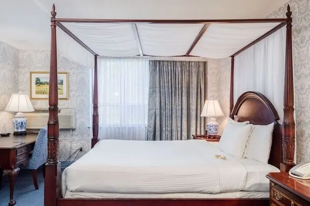 Deluxe Oda, 1 Büyük (Queen) Boy Yatak