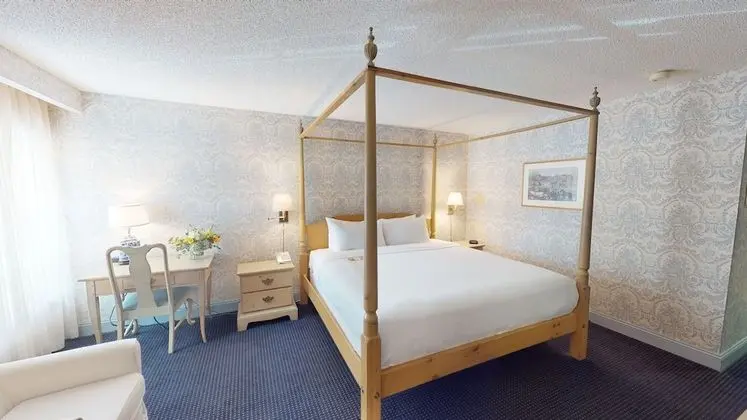 Deluxe Oda, 1 En Büyük (King) Boy Yatak