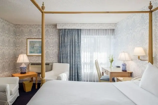 Deluxe Oda, 1 En Büyük (King) Boy Yatak