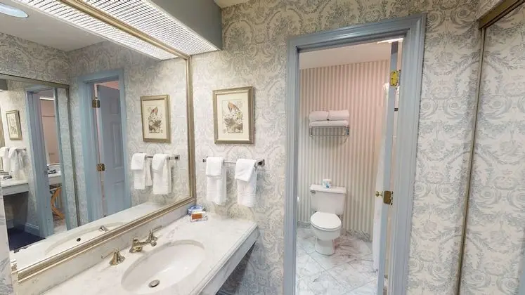 Deluxe Oda, 1 En Büyük (King) Boy Yatak