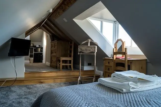 Deluxe Tek Büyük Yataklı Oda, 1 Çift Kişilik Yatak, Şehir Manzaralı