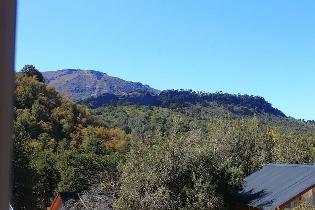 Comfort Apartment, 1 Queen Bed with Sofa bed, Kitchen, Mountain View