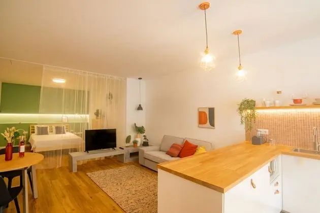 Basic Apart Daire, 1 Yatak Odası