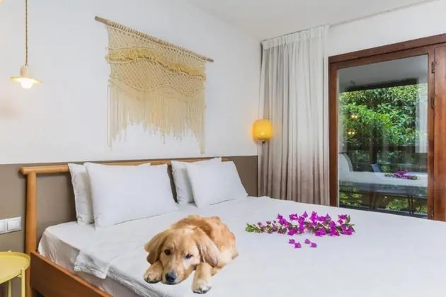 Deluxe Room,Havuz Manzaralı
