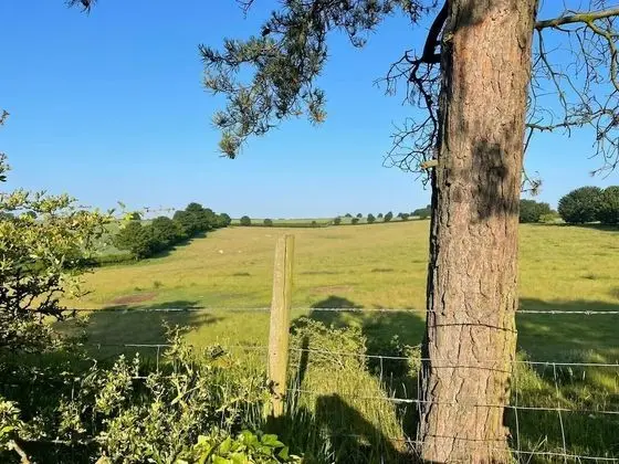 Family Kır Evi, Engellilere Uygun, Banyolu/Duşlu