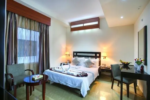 Deluxe Tek Büyük Yataklı Oda, 1 En Büyük (King) Boy Yatak, Sigara İçilebilir, Şehir Manzaralı