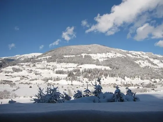 Basic Stüdyo, 1 Büyük (Queen) Boy Yatak, Dağ Manzaralı, Yamaçta