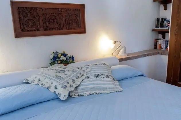 Tek Büyük Yataklı Oda, Özel Banyo, Bahçe Manzaralı