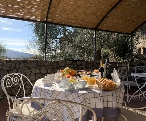 Panoramic Apart Daire, Bahçe Manzaralı