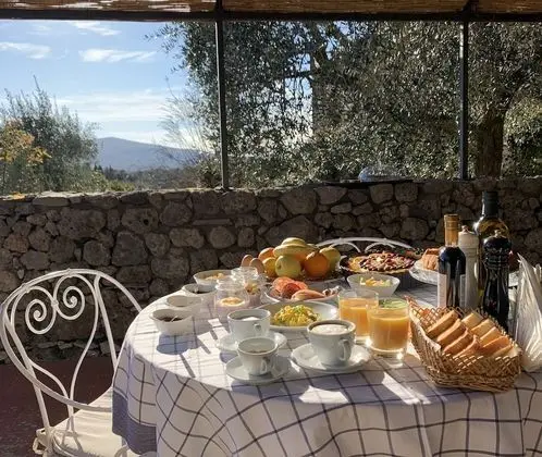 Panoramic Apart Daire, Bahçe Manzaralı