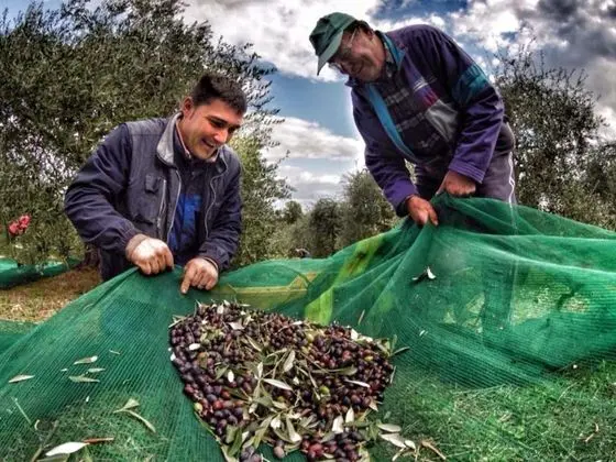 Apart Daire, 1 Yatak Odası, Veranda