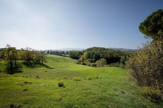Classic Tek Büyük Yataklı Oda, 1 Büyük (Queen) Boy Yatak, Özel Banyo
