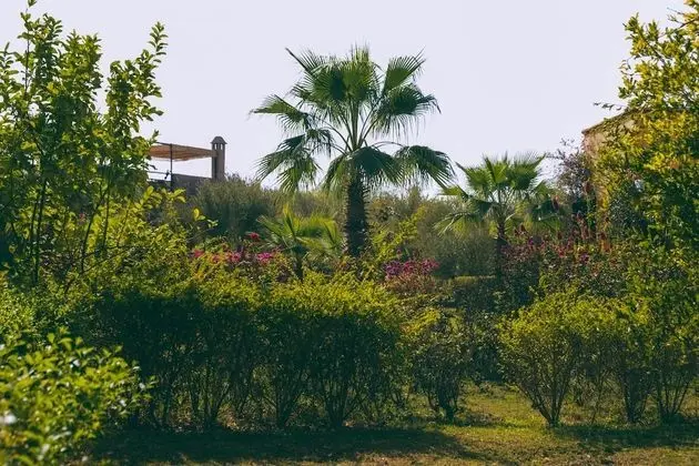 Exclusive Bungalov