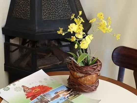 Basic Dört Kişilik Oda