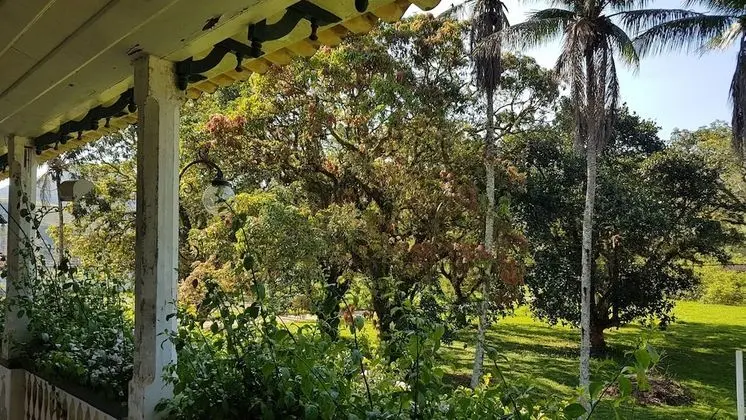 Comfort Süit, Bahçe Manzaralı, Bahçeli