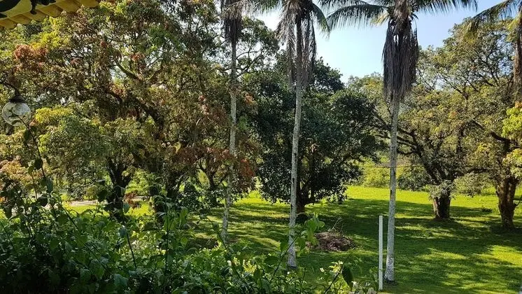 Comfort Süit, Bahçe Manzaralı, Bahçeli