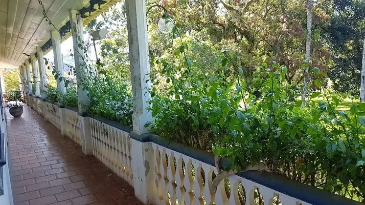 Comfort Süit, Bahçe Manzaralı, Bahçeli