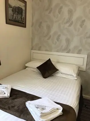 Basic Tek Büyük Yataklı Oda, Engellilere Uygun, Banyolu/Duşlu