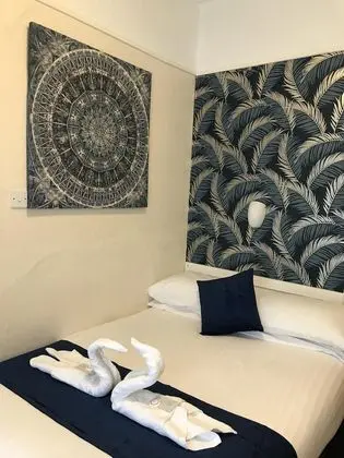 Basic Tek Büyük Yataklı Oda, Engellilere Uygun, Banyolu/Duşlu