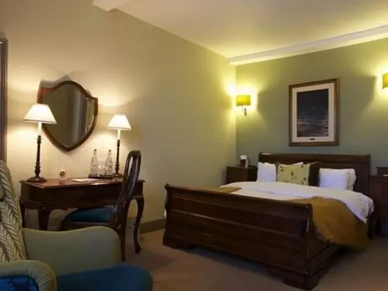 Superior Tek Büyük Yataklı Oda