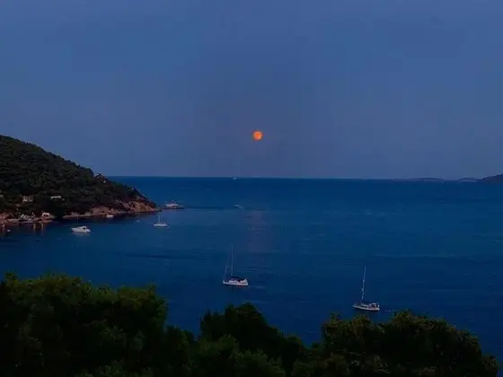 Panoramic Dört Kişilik Oda, Deniz Manzaralı