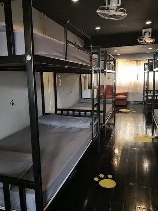 8-Bed Mixed Dormitory