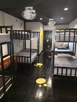 8-Bed Mixed Dormitory