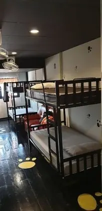 8-Bed Mixed Dormitory