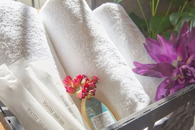 Luxury Ortak Ranzalı Oda, Sadece kadınlar için, Ortak Banyo (Bunk bed in 20 beds)