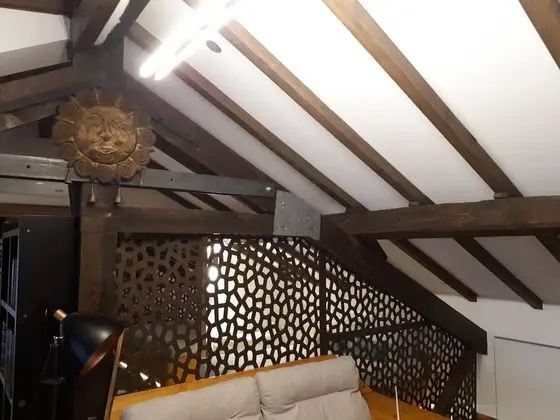 Panoramic Çatı Katı (Loft), 1 Yatak Odası, Şehir Manzaralı