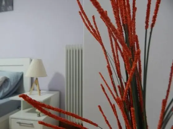 Apart Daire, 1 Büyük (Queen) Boy Yatak