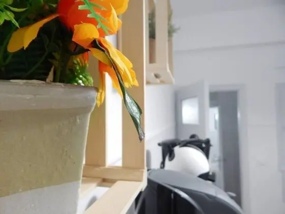 Apart Daire, 1 Büyük (Queen) Boy Yatak