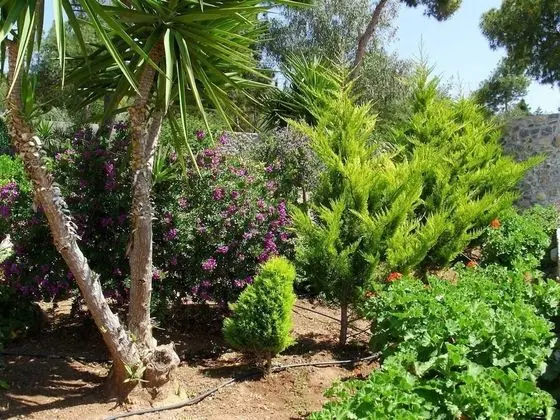 Villa, Birden Çok Yatak
