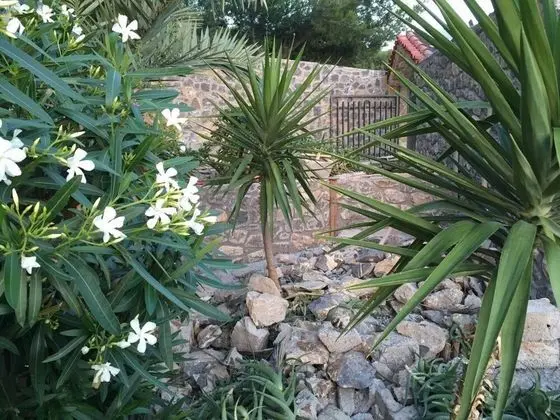 Villa, Birden Çok Yatak