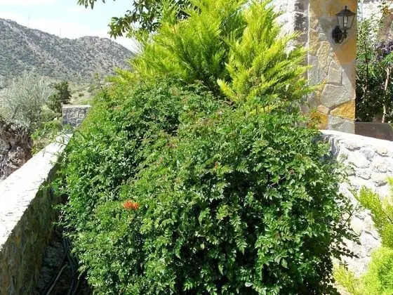 Villa, Birden Çok Yatak