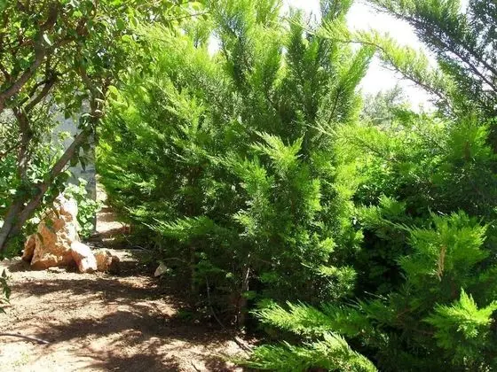 Villa, Birden Çok Yatak