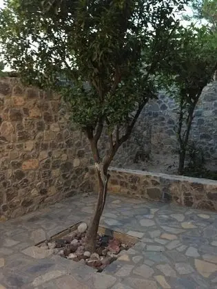 Villa, Birden Çok Yatak