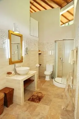Luxury Tek Büyük Yataklı Oda, 1 Büyük (Queen) Boy Yatak, Bahçe Manzaralı
