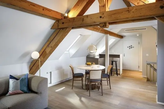 Çatı Katı (Loft) (Felix)